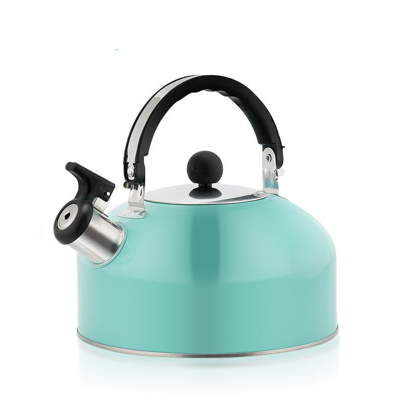 Pfeifkessel aus Edelstahl, 3 l