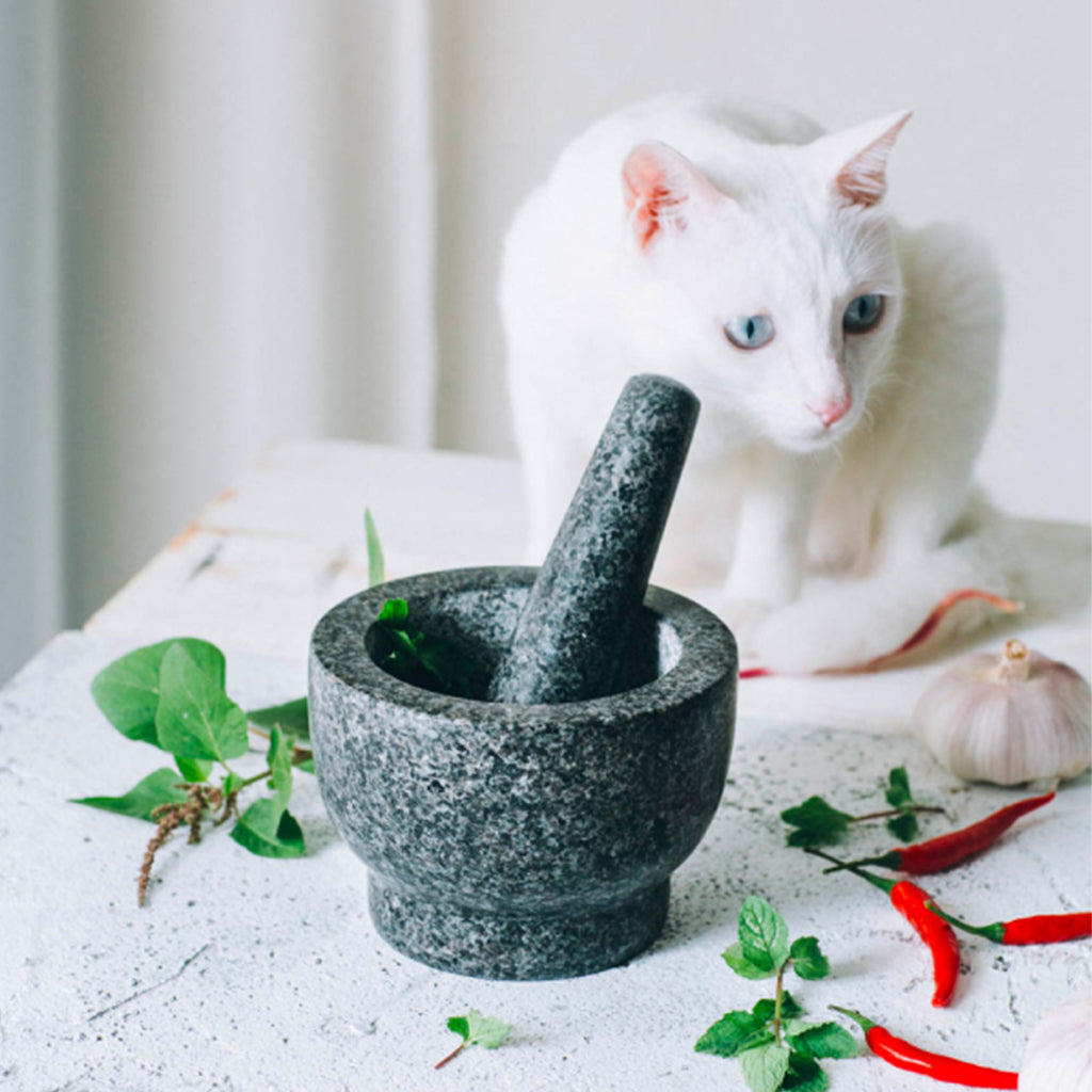 Pilon de cuisine et de médecine en granit