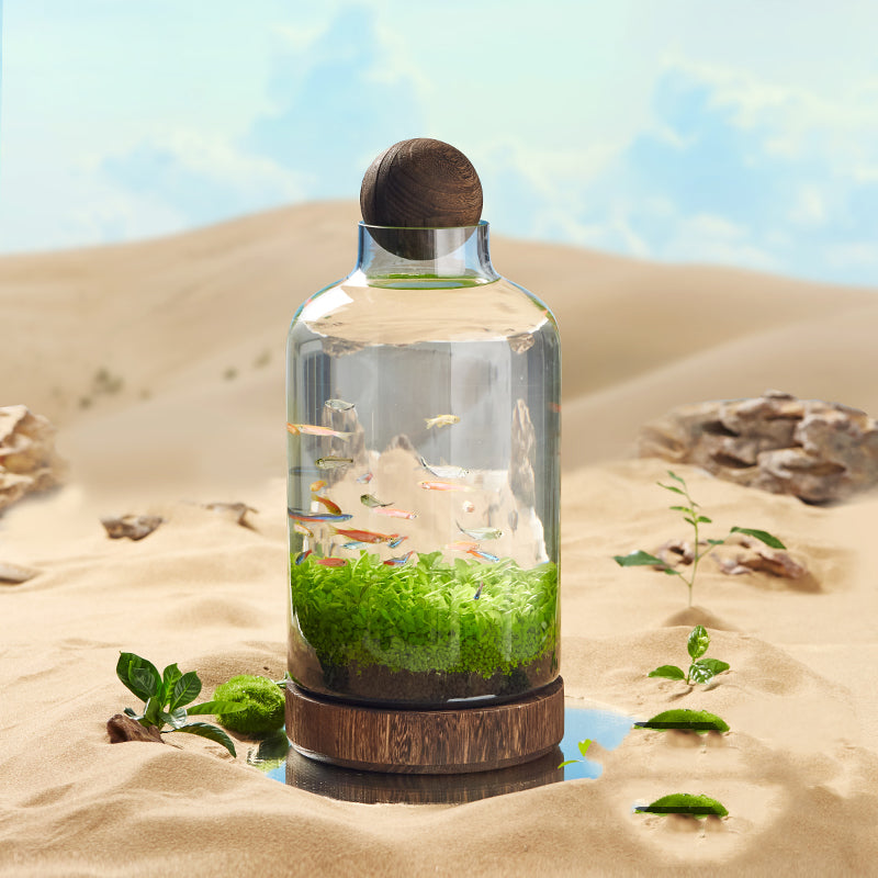 Bouteille de poisson écologique réservoir en verre Micro View