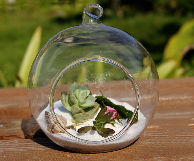 Bouteille écologique micro-paysage suspendue
