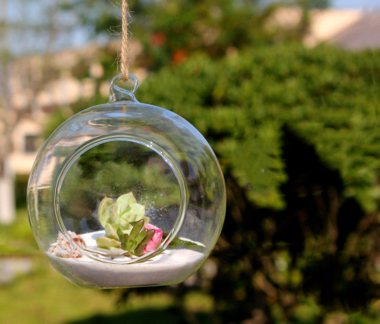 Bouteille écologique micro-paysage suspendue