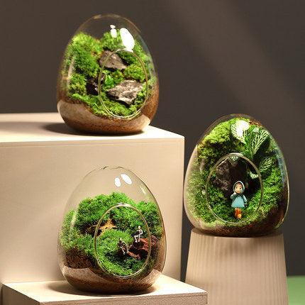Micro Landscaping Glass Bottle
