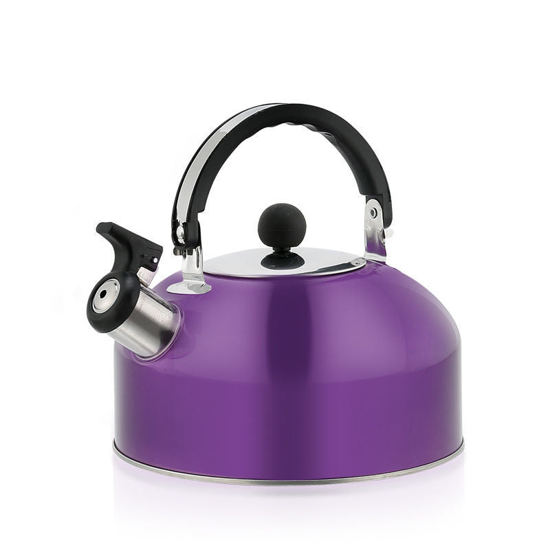 Pfeifkessel aus Edelstahl, 3 l
