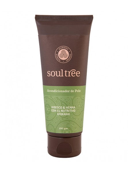 SoulTree Ayurveda Haarspülung