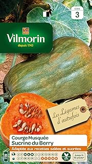 Vilmorin - Baie de Citrouille