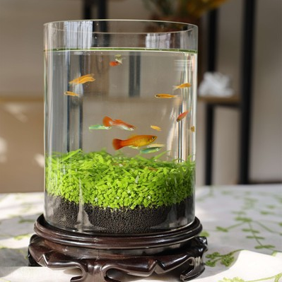 Bouteille de poisson écologique réservoir en verre Micro View