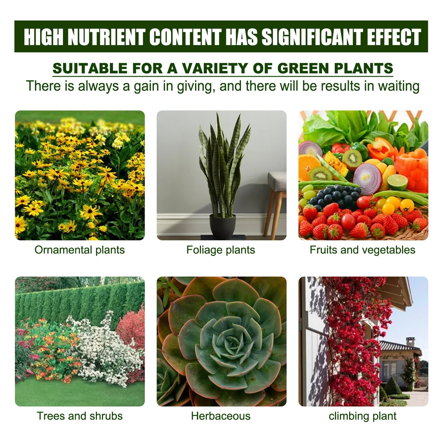 Organic Foliar Fertilizer