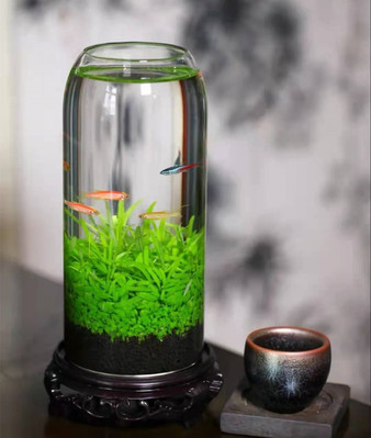 Bouteille de poisson écologique réservoir en verre Micro View