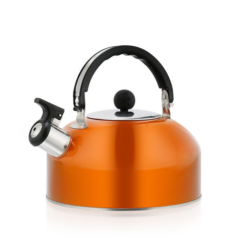 Pfeifkessel aus Edelstahl, 3 l