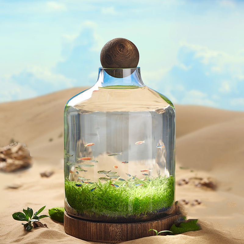 Bouteille de poisson écologique réservoir en verre Micro View