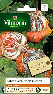 Vilmorin - Pumpkin Turban
