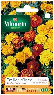 Vilmorin - Fleur Rose Indienne
