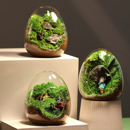 Bouteille en verre pour micro-aménagement paysager
