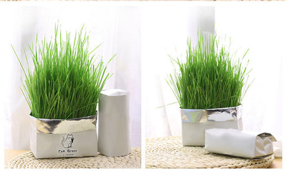 Soilless Organic Cat Grass