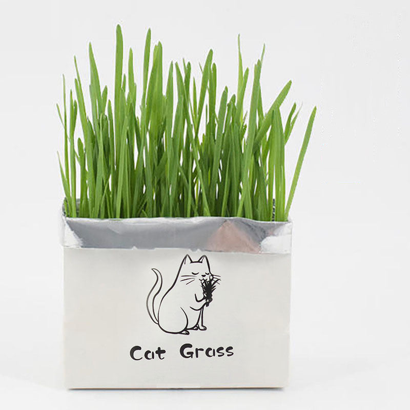 Soilless Organic Cat Grass