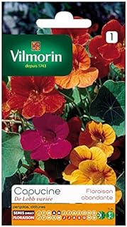 Vilmorin - Fleur Capuccine Lobb 