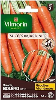 Vilmorin - Karottenbolero 