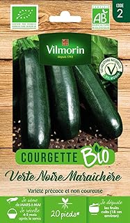 Vilmorin - Bio-Zucchini 