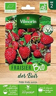 Vilmorin - Bio-Erdbeere