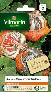 Vilmorin - Turban Citrouille