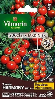 Vilmorin - Harmonie Tomate