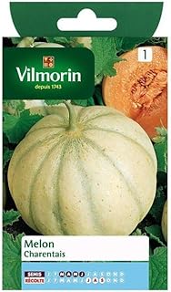 Vilmorin - Melone Charentais 