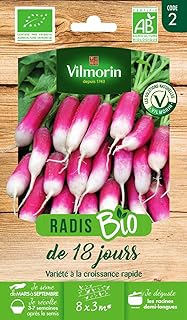 Vilmorin - Bio Radish