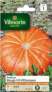 Vilmorin – Kürbis-Potiron 