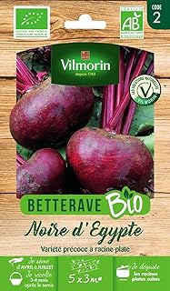 Vilmorin - Bio Turnip Black Egypt