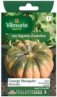 Vilmorin - Pumpkin Muscade