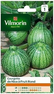 Vilmorin – Runde Zucchini schön 